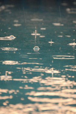 r2&ndash;d2:  Rain of Summer by (Serena Joyce) | follow on Tumblr  
