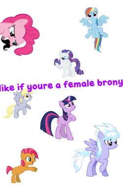 derpyisthebest:  askriles:  ask-random-hooves:  Like if youre a female brony!  I’ll reblog it as well :3  babs!  I am male,but rebloging so you know,IT&rsquo;S PEGASISTER!