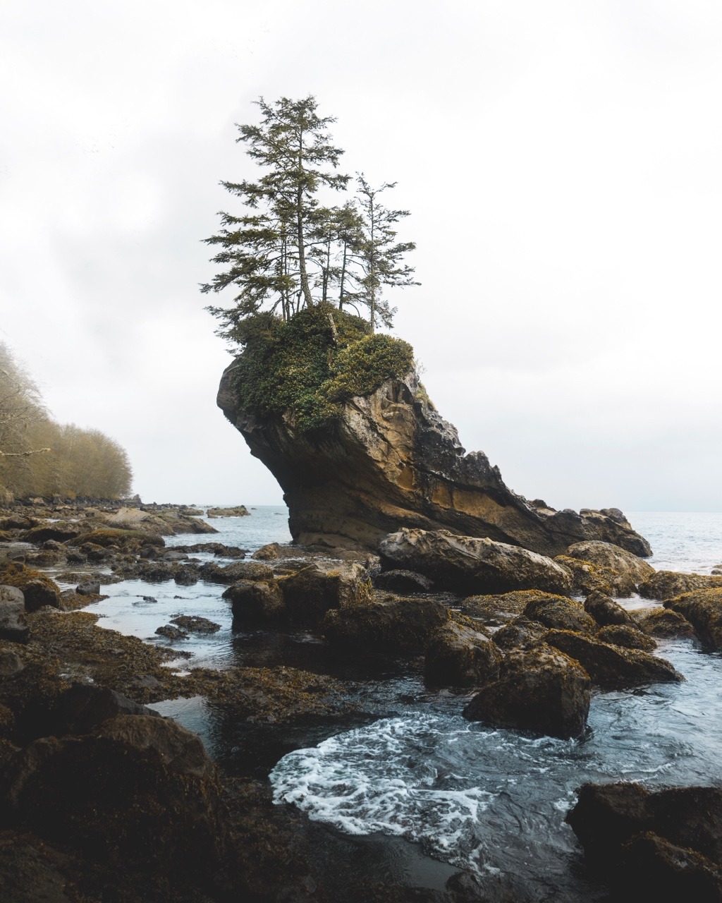 natura-e:  pir-ado: thechroniclesofdust: Northern Washington coast. .    - Nature
