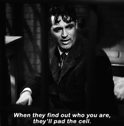 auldcine: Cary Grant and Katharine Hepburn in Bringing Up Baby (1938)