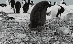 stardust-in-my-soul:  Current mood