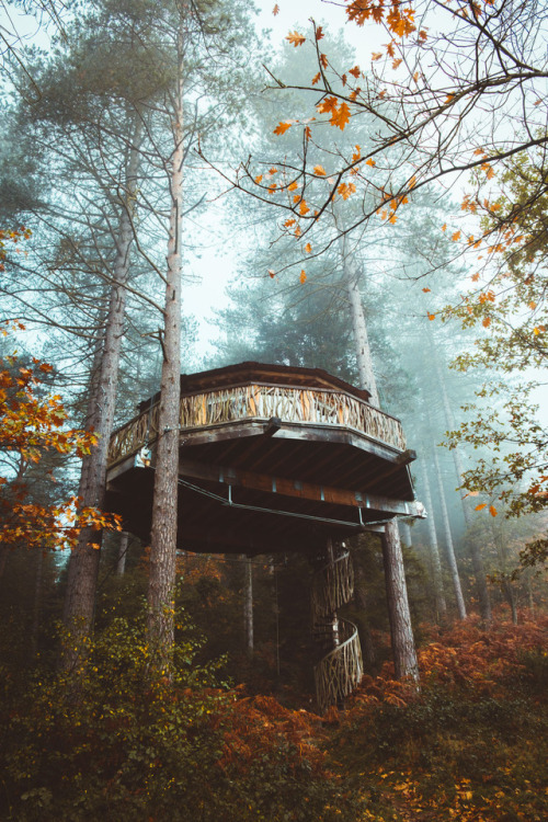 leireunzueta:Went for a little walk this morning. It was pretty cold and foggy but since fall is in 