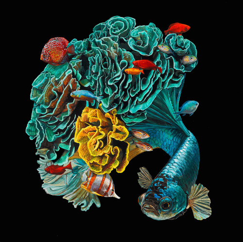 itscolossal:  Hyperrealistic Depictions of Fish Merged With Their Coral Environments by Lisa Ericson