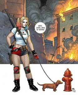 league-of-extraordinarycomics:Harley Quinn