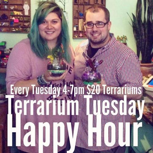 It’s Terrarium Tuesday! Happy Hour special, 4-7pm make our classic Bubble Bowl Terrarium for just $20! That’s $10 off! Price includes all supplies, walk ins only, first come first serve. (at Ephemera)