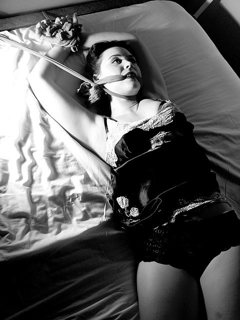 sub-kasia:  ♡ kitten loves