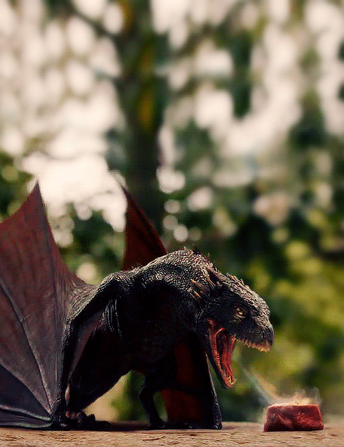 be-your–own-hero:  Game Of Thrones 