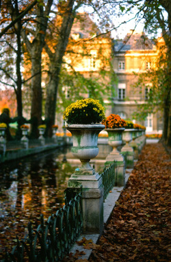 gyclli:  Paris, France Luxembourg Gardens