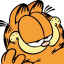 total-garfield-takes