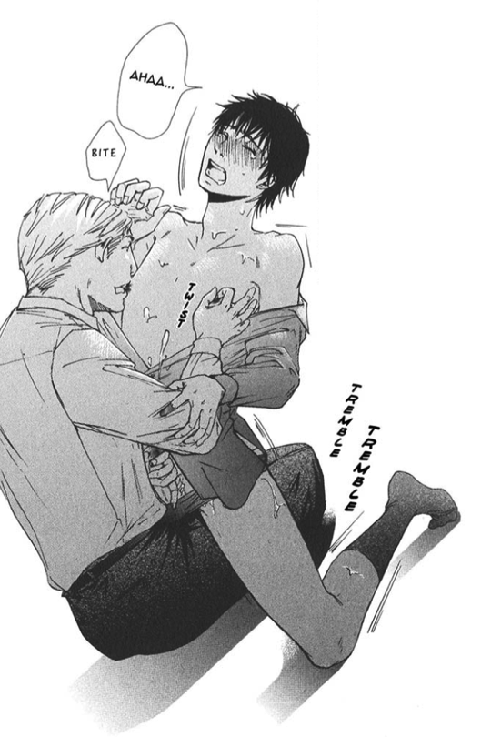 Fujoshi, Fangirl and Author: