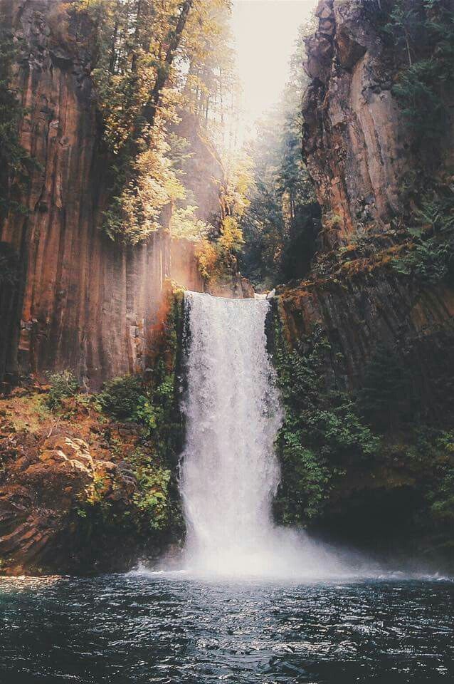 bitrates:    🌲 Nature Blog    