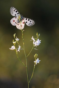 Beautiful And Fragile, Like The Earth