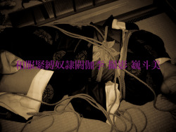 bobbedfetish:  和風緊縛奴隷閼伽李~Japanese-style bondage slave~ウグイスノ渓ニテ…参