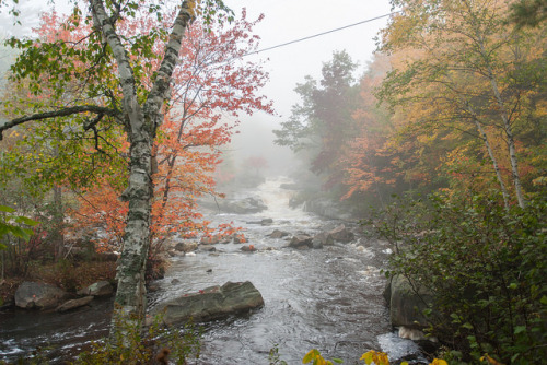 Bottom fog by ZensLens on Flickr.