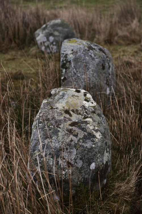 thesilicontribesman:Glenquicken Stone Circle, nr Creetown, Dumfries and Galloway, Scotland, 2.1.18.A