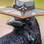 shady-crow-detective