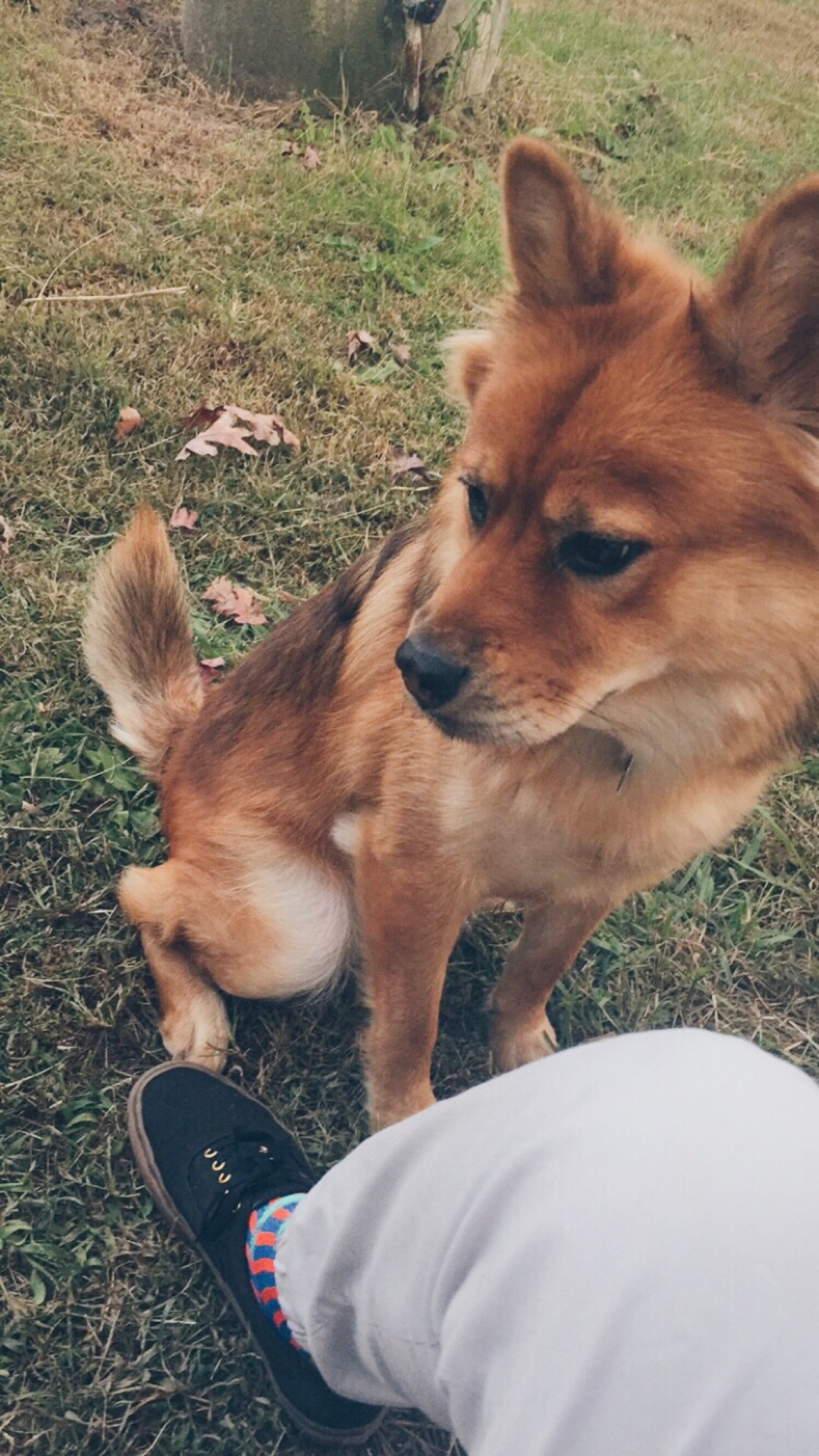 Today&rsquo;s chill time with my pup 😎