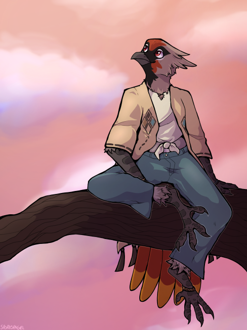 A digital illustration of an anthropomorphic bird sitting on a branch looking upwards with a relaxed expression. Judging by the sky the sun is setting.