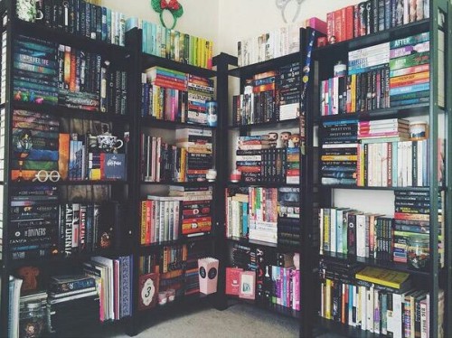 foreverlostinliterature: (via .) Goals AF