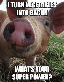 funniestpicturesdaily:  Oink oink bitches.  Best fucking superPower ever. 