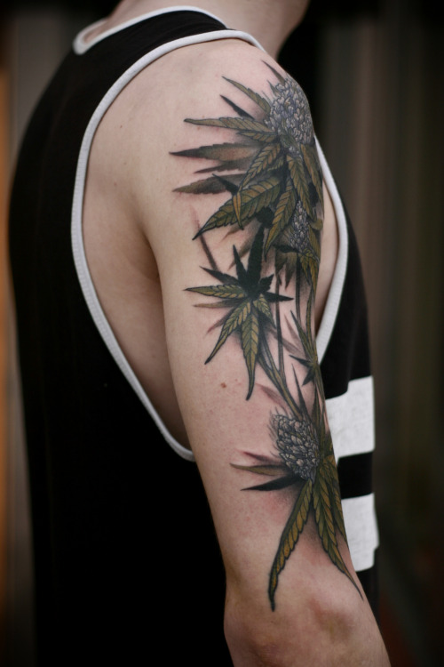 Cannabis by Sean Wright —>@seanwrighttattoos