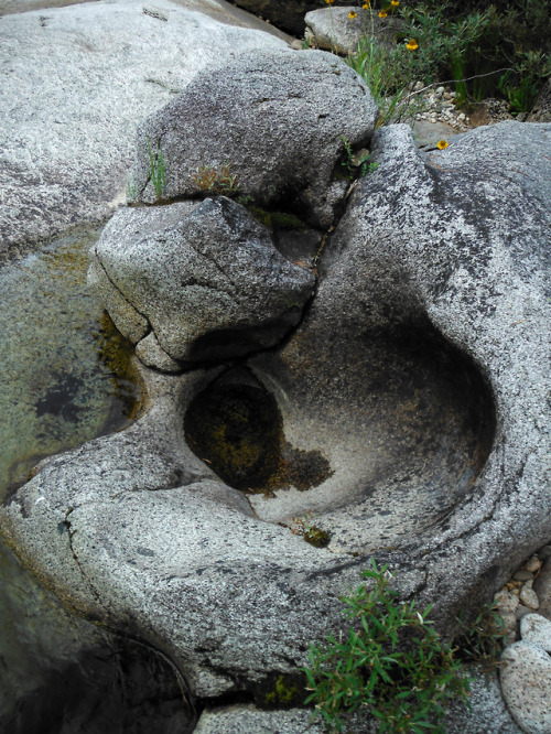 wildernessjournals:Water erosion on granite rock. Crown Creek, Woodchuck Country, John Muir Wilderne