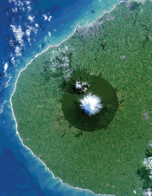 A satellite photo over New Zealand. Lighter green areas indicate regions where trees have been cut d