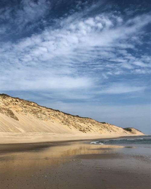 Low tide morning beach walk. #capecod #beach #getoutside