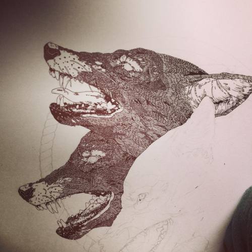 nvm-illustration: Fur for days… #illustration #wolves #ink #wip