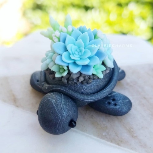 sosuperawesome: Succulent Turtles  Claybie porn pictures