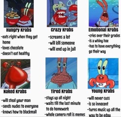 krabby-kronicle:I’m tired krabs 😪