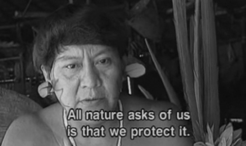 pachatata:  Davi Kopenawa, Shaman and leader of the Brazilian Yanomami.   One simple task. We are failing.