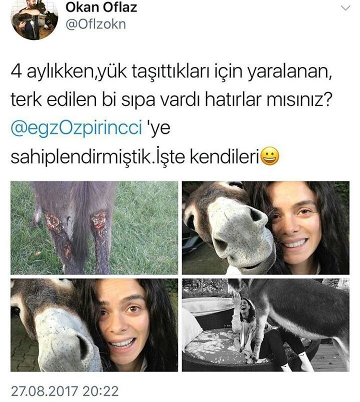 4 aylıkken,yük...