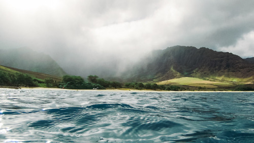 ashleydiscovers:I cried out to the rain “Please stay there! Please don’t make us have to swim back t