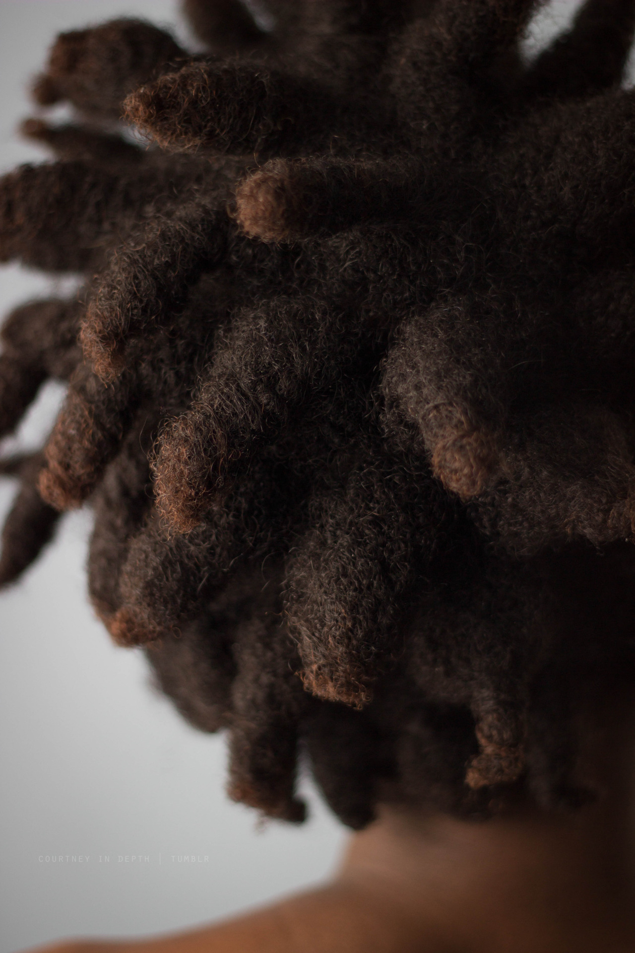 courtneyindepth:  just some quick pics of my locs at about a month old   Boo 😎