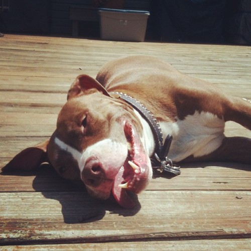 No one loves the sun more than this girl. (at The Hope Compound)