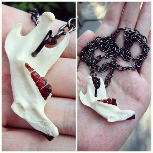 queenofvultures: Muskrat jaw with garnet stone teeth! Will be releasing a few different versions of 