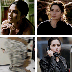 persianshaw:Thank you to Sarah Shahi for her amazing portrayal of Sameen Shaw. No one else could’ve 