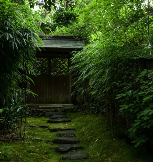 uroko:法然院/苔庭 Honen-in Temple/Moss