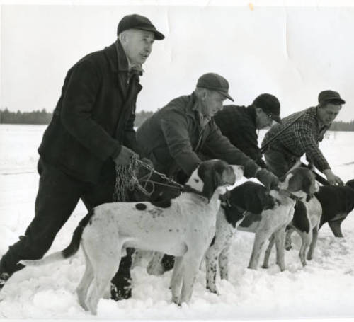  Hunters with their dogs. The man third from the right is identified as Ed Rosenthal and fourth from