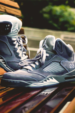 airville:  Wolf Grey 5s by R Sullivan 