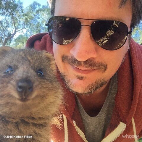 thebalibu:Nathan Fillion and animals. Absolutely cutePart 2
