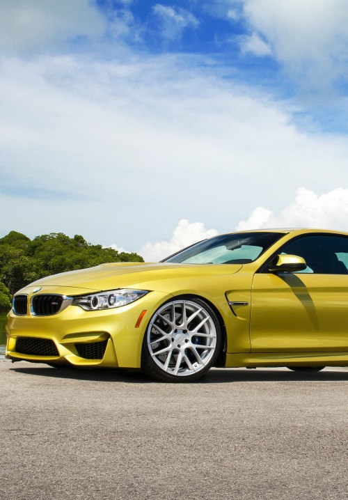 dreamer-garage:BMW M4 (via)