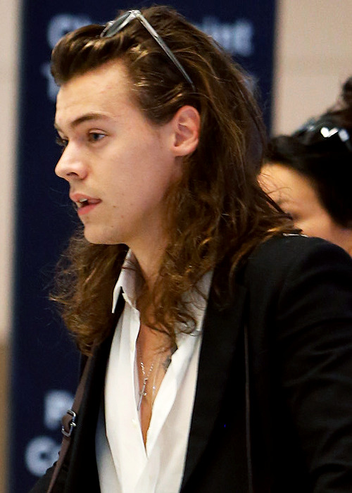 prev. stylesharry