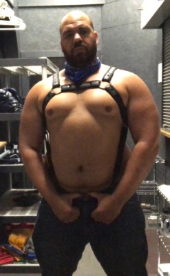 forgethepup:  Wruff Wruff  Your friendly