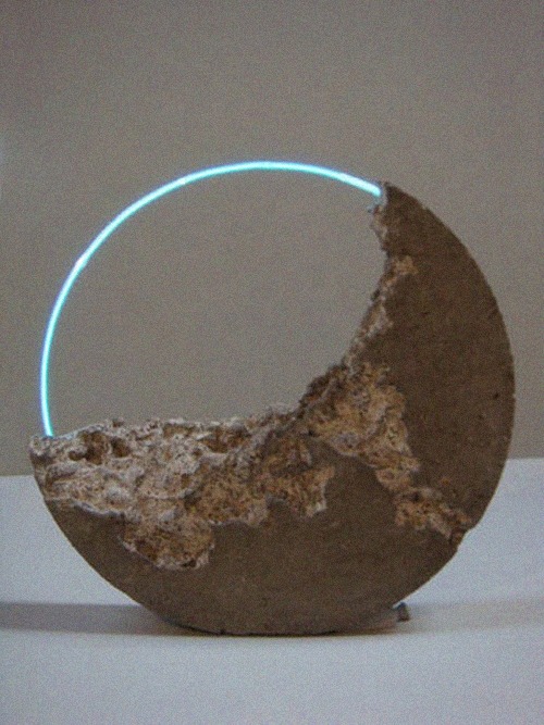 efedra:  Luna Fossil IV, 2010 by Sarah Blood