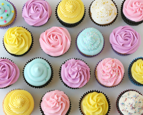 do-not-touch-my-food:  Cupcakes 