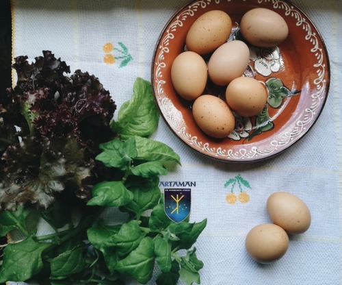 Breakfast from the yard. Leafy greens from our garden & homegrown eggs from our hens.#bloodandso