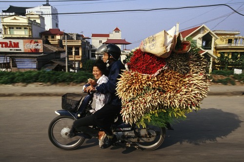 nprradiopictures:wnycradiolab:Vietnamese Motorbikes and the Amazing Things They CarryThe fish, wow.P