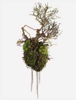 staceythinx:  Plant sculptures by Émeric Chantier 